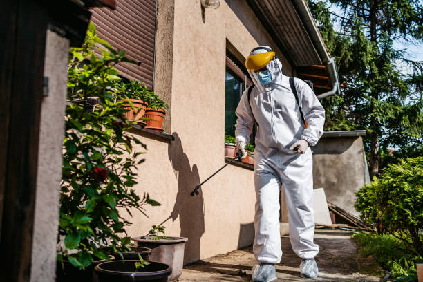 Best Best Pest Control Companies  in Sauk Centre, MN