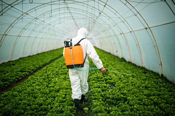 Best Residential Pest Control  in Sauk Centre, MN