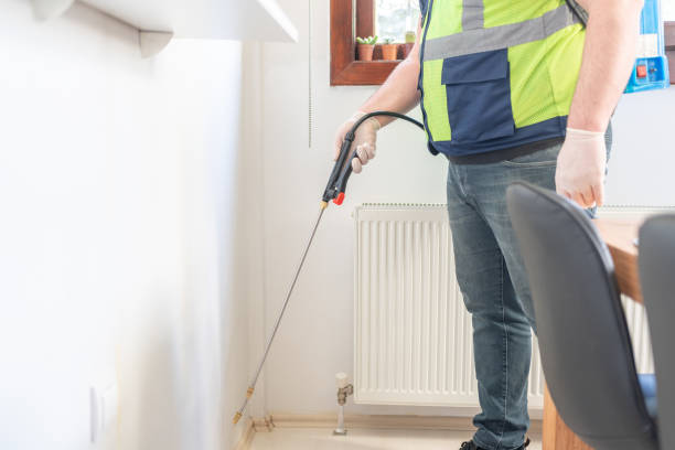 Best Rat Extermination Near Me  in Sauk Centre, MN