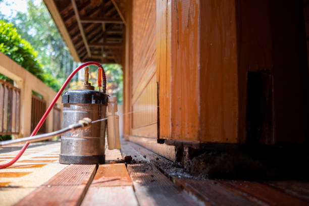 Best Pest Prevention Services  in Sauk Centre, MN
