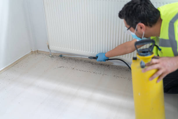 Best Pest Inspection Near Me  in Sauk Centre, MN